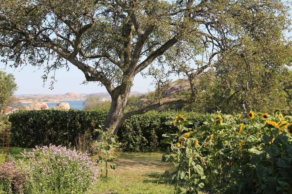 Auberge de jeunesse Ramsviks Overgard à Hunnebostrand Extérieur photo