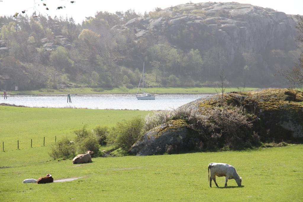 Auberge de jeunesse Ramsviks Overgard à Hunnebostrand Extérieur photo